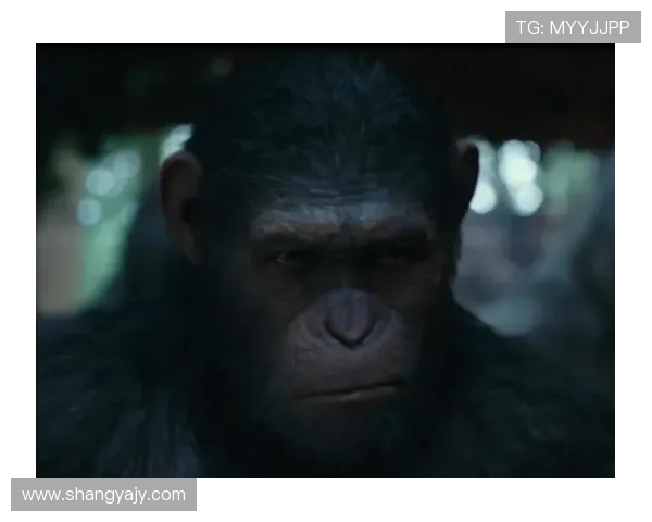 围绕猩球崛起豆瓣热度深度解析人猿文明崛起背后传奇故事